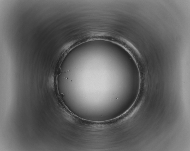 X0000115530777200911061439