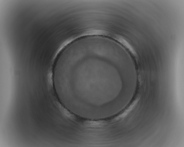 X0000115530781200911061439