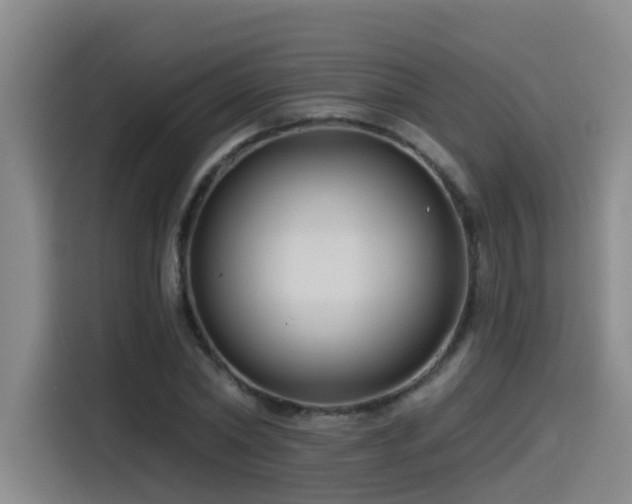 X0000115530782200911061439