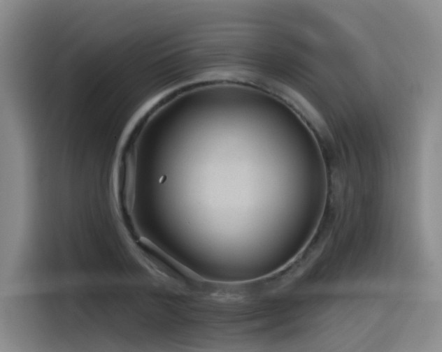 X0000115530788200911061439