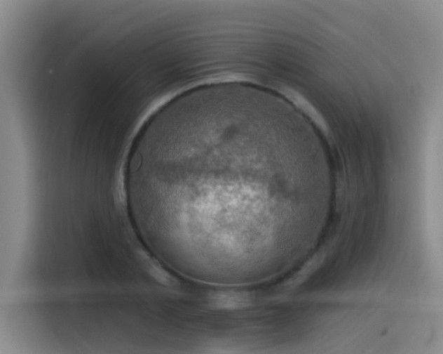 X0000115530789200911061439