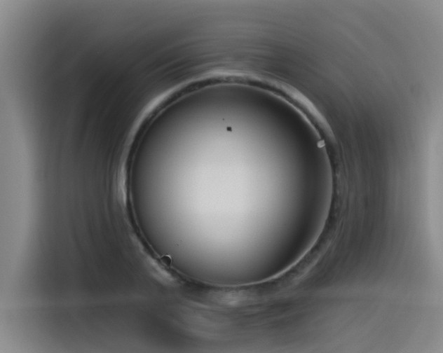 X0000115530791200911061439