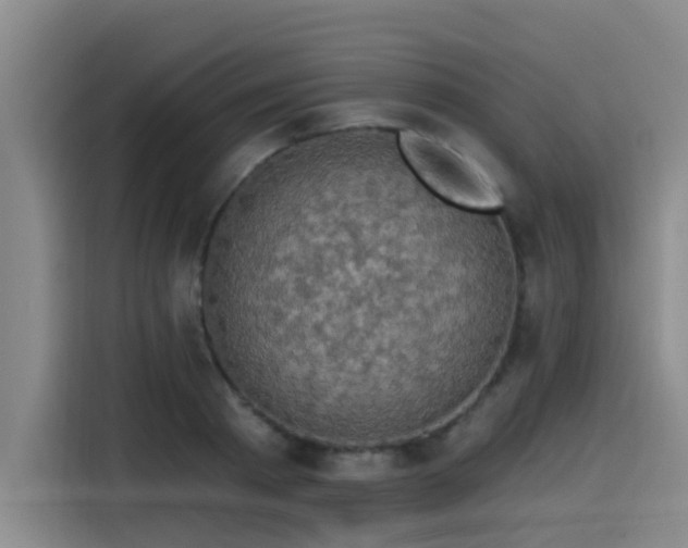 X0000115530793200911061439