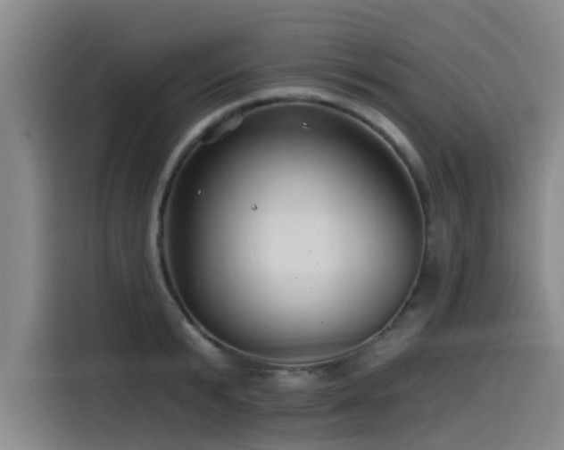 X0000115530799200911061439