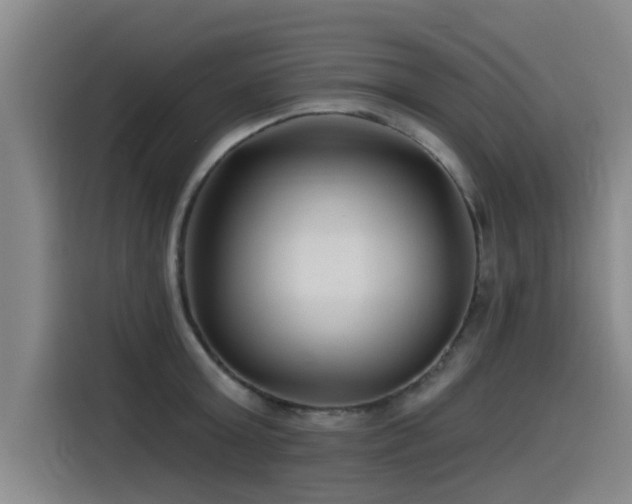 X0000115530803200911061439