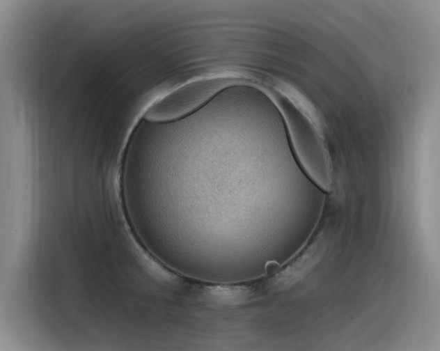 X0000115530805200911061439