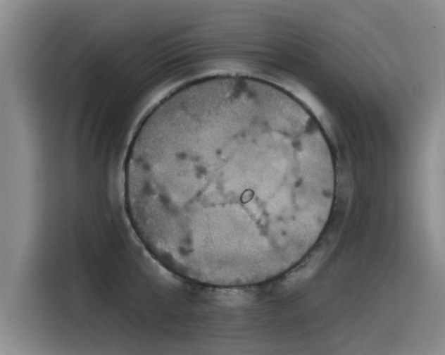 X0000115530807200911061439