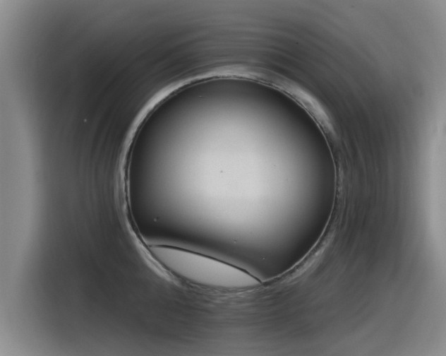 X0000115530808200911061439