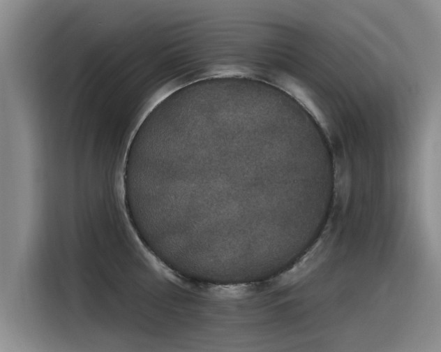 X0000115530810200911061439