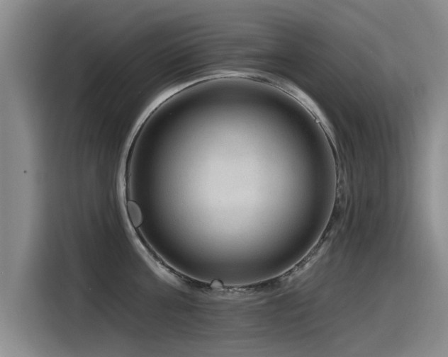X0000115530811200911061439