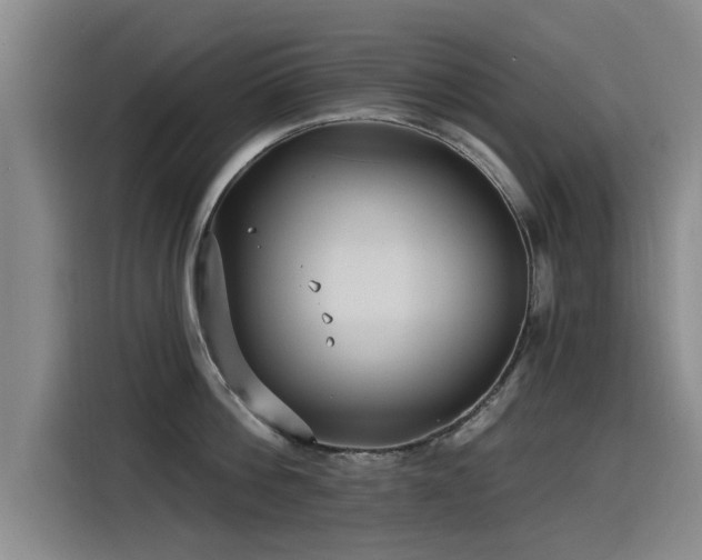 X0000115530812200911061439