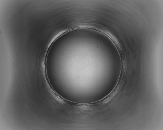 X0000115530814200911061439
