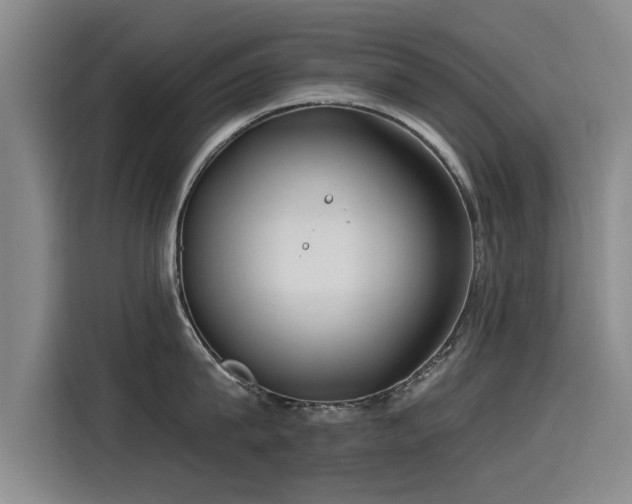 X0000115530815200911061439