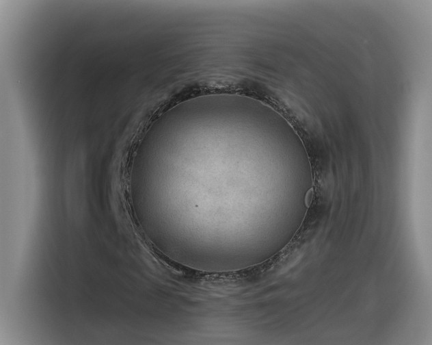 X0000115530817200911061438