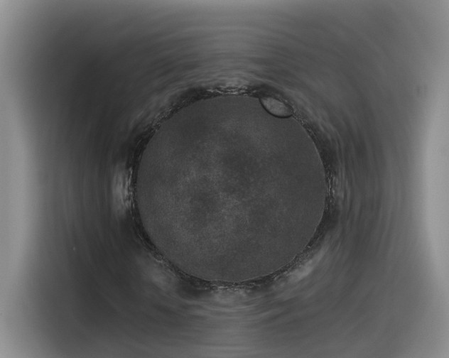 X0000115530818200911061438