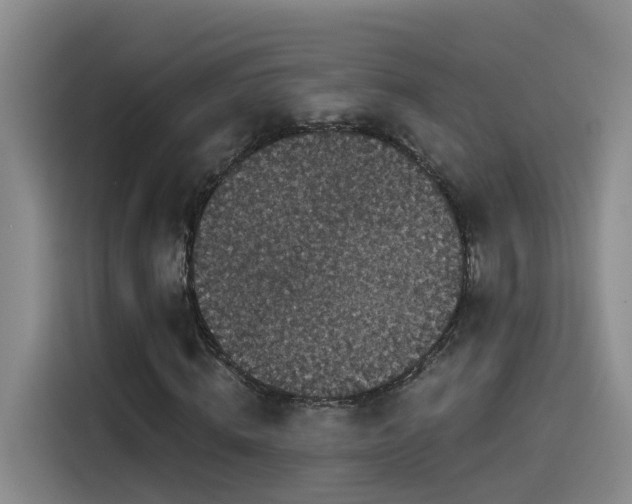 X0000115530820200911061438