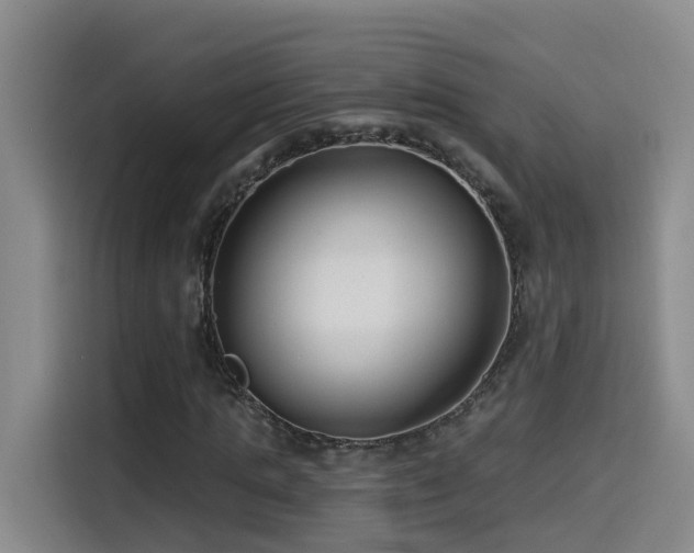 X0000115530821200911061438