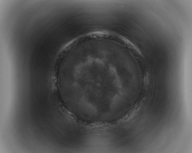 X0000115530822200911061438