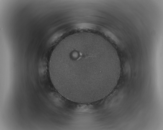 X0000115530824200911061438