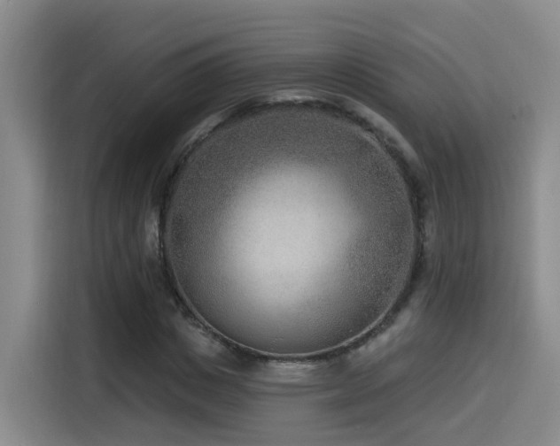 X0000115530825200911061438