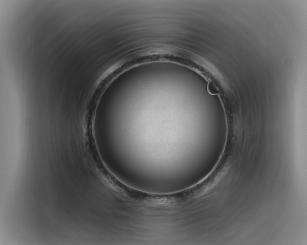 X0000115530826200911061438