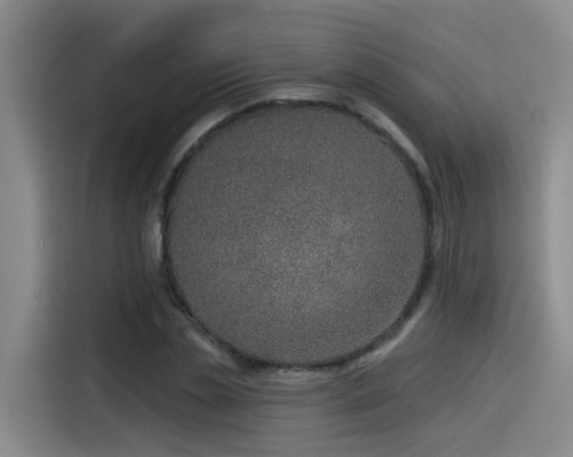 X0000115530829200911061438