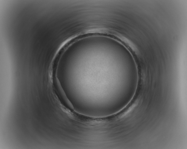 X0000115530830200911061438