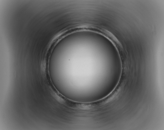 X0000115530831200911061438