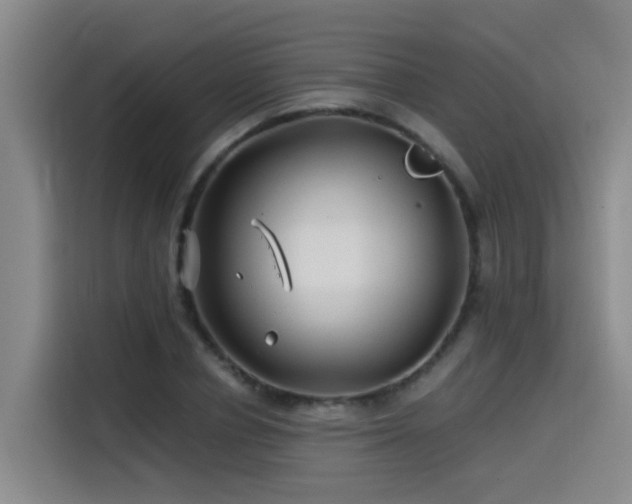 X0000115530834200911061438