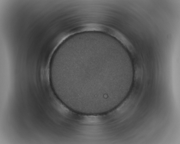 X0000115530836200911061438