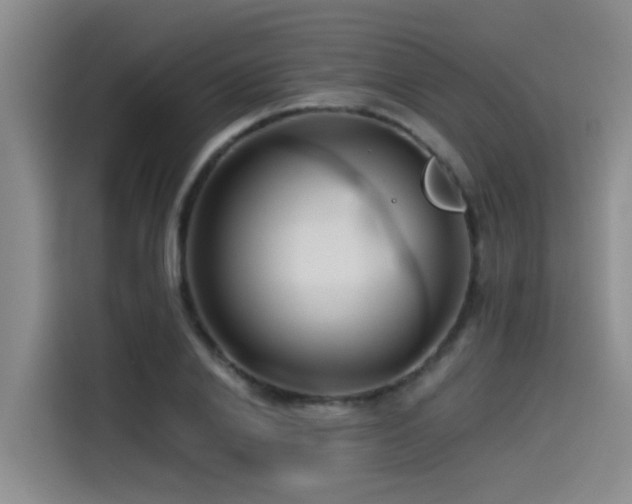 X0000115530838200911061438