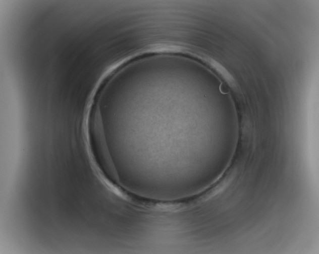 X0000115530840200911061438