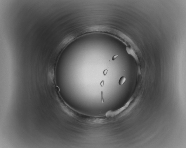 X0000115530841200911061438