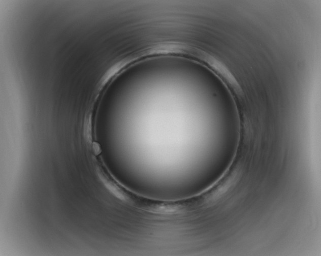 X0000115530842200911061438