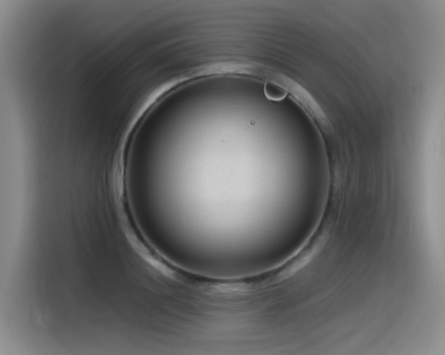 X0000115530844200911061438