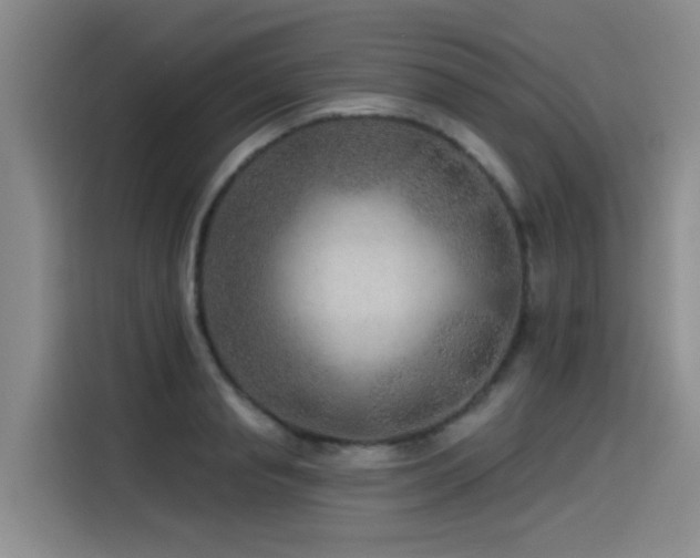 X0000115530845200911061438