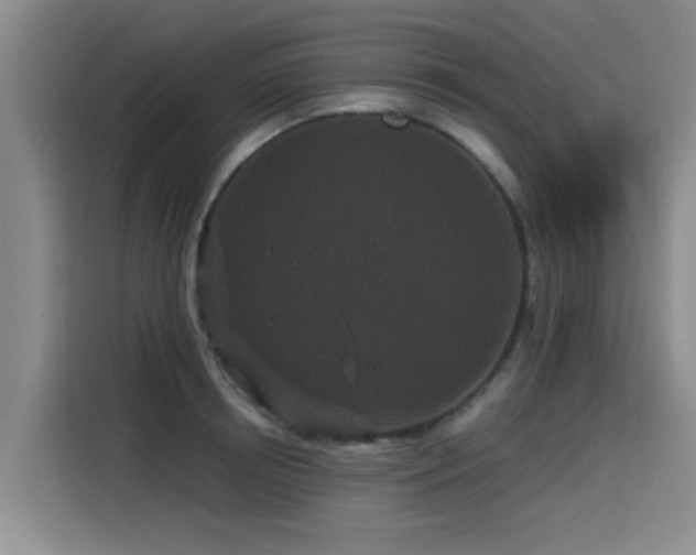 X0000115530850200911061439