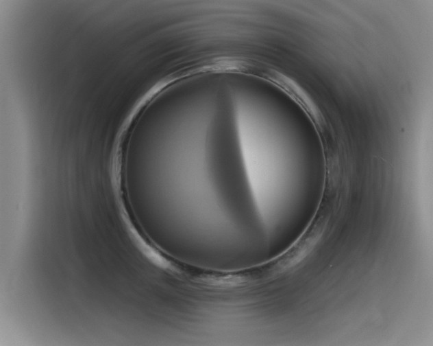 X0000115530851200911061439