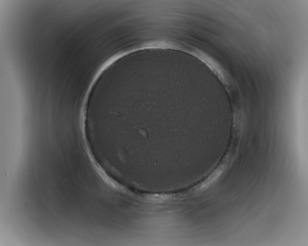 X0000115530854200911061439
