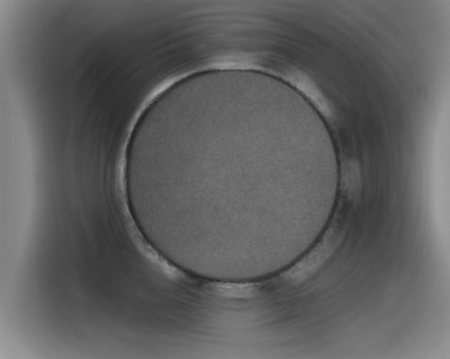 X0000115530856200911061439