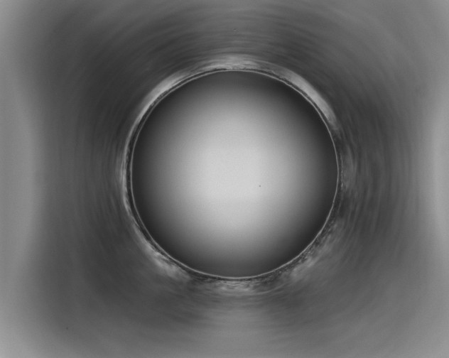 X0000115530861200911061439