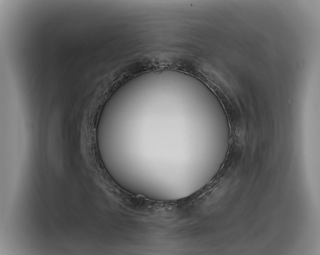 X0000115530865200911061438
