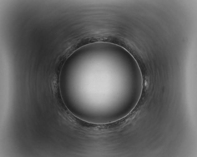 X0000115530867200911061438
