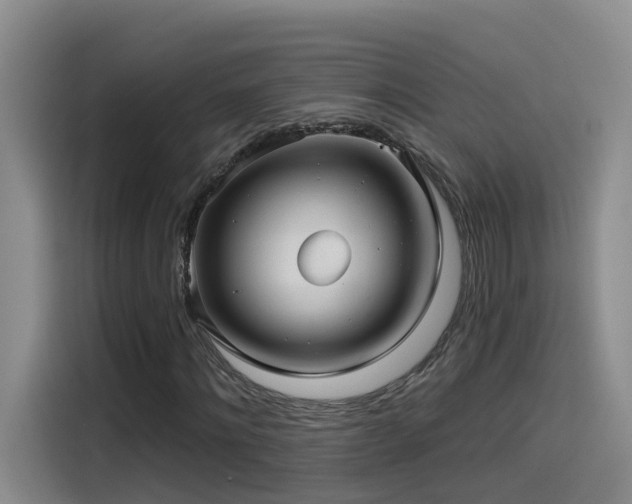 X0000115530868200911061438