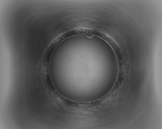 X0000115530870200911061438