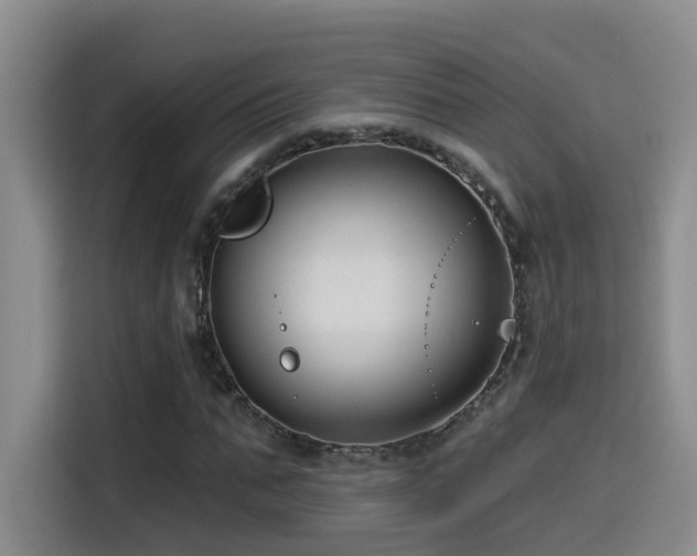 X0000115530871200911061438