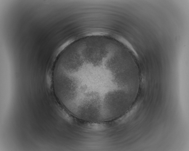 X0000115530874200911061438