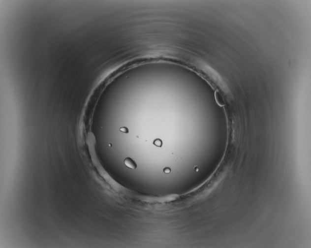 X0000115530876200911061438