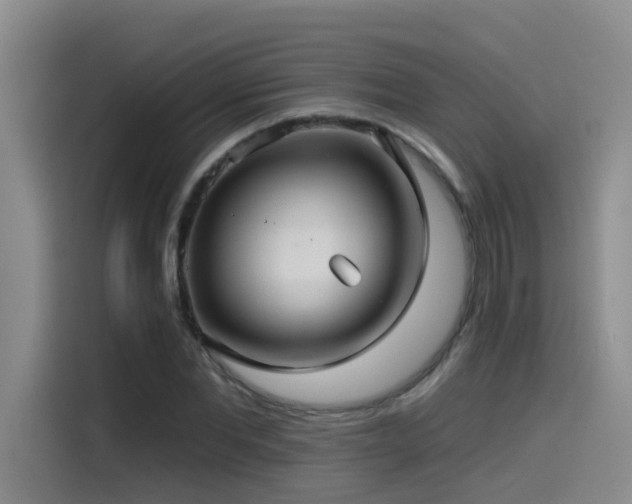 X0000115530877200911061438