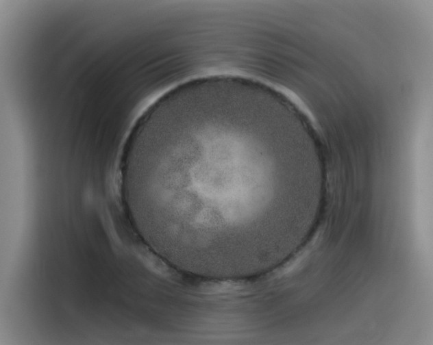 X0000115530879200911061438